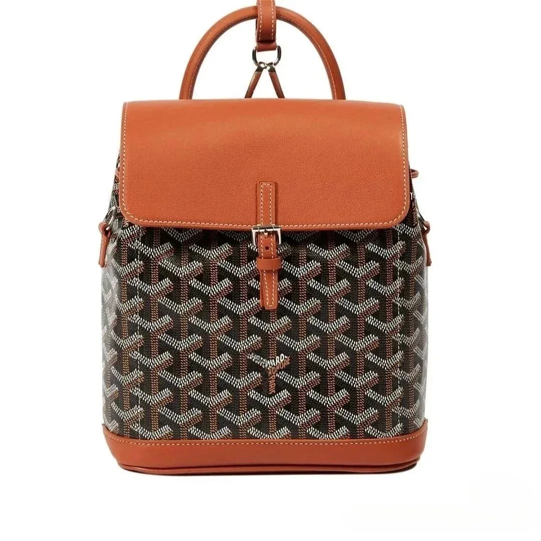 Goyard Saint Louis Backpack in Brown & Black